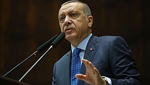 Bahçeli'nin çağrısına Erdoğan'dan ilk yanıt!