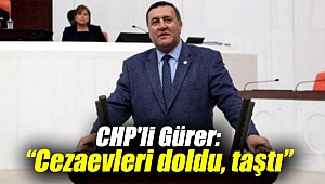 CHP'li Gürer: “Ülkemizdeki cezaevleri doldu, taştı”