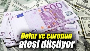Dolar ve euronun ateşi düşüyor