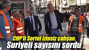 Sertel, izinsiz çalışan Suriyeli sayısını sordu