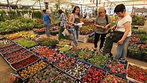 4 Günde 40 Bin Ziyaretçi Geldi