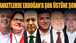 Hakan Bayrakçı partilerin ve adayların oy oranlarını açıkladı
