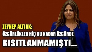 Özgürlükler hiç bu kadar özgürce kısıtlanmamıştı