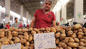 Türkiye neden Suriye'den patates alıyor?