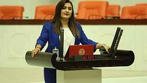 Sevda Erdan Kılıç'tan yangın önergesi