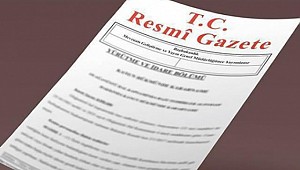 Yeni sistemde ilk kararname