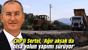 CHP'li Sertel, 'Ağır aksak da olsa yolun yapımı sürüyor'