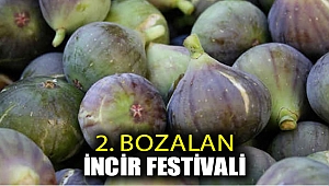 2. Bozalan İncir Festivali