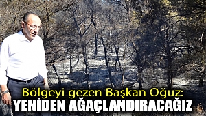 Bölgeyi gezen Başkan Oğuz: Yeniden ağaçlandıracağız