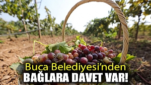 Buca Belediyesi’nden bağlara davet var!