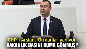 CHP'li Arslan, 'Ormanlar yanıyor, Bakanlık başını kuma gömmüş!'