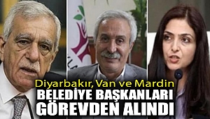 Diyarbakır, Van ve Mardin belediye başkanları görevden alındı