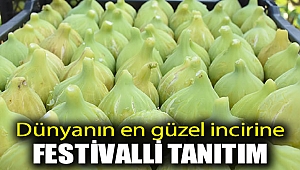 Dünyanın en güzel incirine festivalli tanıtım