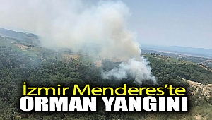 İzmir'de orman yangını