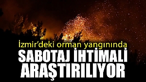 İzmir'deki orman yangınında sabotaj ihtimali araştırılıyor