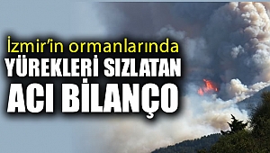 İzmir’in ormanlarında yürekleri sızlatan acı bilanço