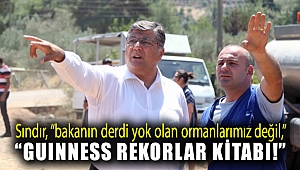 Sındır, “bakanın derdi yok olan ormanlarımız değil, Guiness rekorlar kitabı!”
