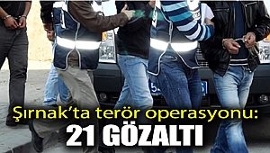 Şırnak'ta terör operasyonu: 21 gözaltı