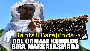 Tahtalı Barajı’nda “bal ormanı” kuruldu sıra markalaşmada