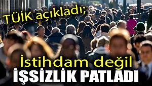 TÜİK açıkladı; İstihdam değil işsizlik patladı