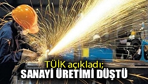 TÜİK açıkladı; Sanayi üretimi düştü