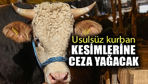 Usulsüz kurban kesimlerine ceza yağacak