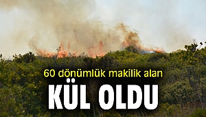 60 dönümlük makilik alan kül oldu