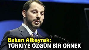 Bakan Albayrak: Türkiye özgün bir örnek