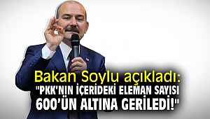 Bakan Soylu açıkladı: