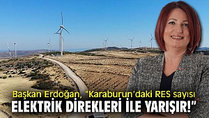 Başkan Erdoğan'dan RES tepkisi!