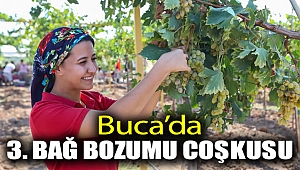 Buca’da 3’üncü Bağ Bozumu Coşkusu
