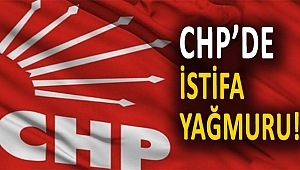 CHP'de İstifa Yağmuru! O partiye geçtiler...