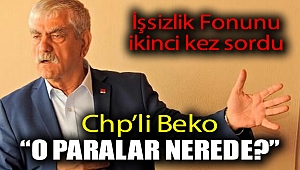 CHP'li Beko 'işsizlik fonunu' ikinci kez sordu