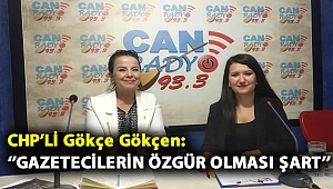 CHP'li Gökçe Gökçen: ''Gazetecilerin Özgür Olması Şart''