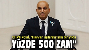 CHP'li Polat, besi hayvan üreticilerinin sorunlarını Meclis gündemine taşıdı!