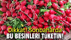 Dikkat! Sonbaharda bu besinleri tüketin!