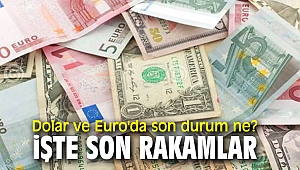 Dolar ve Euro'da son durum ne? İşte son rakamlar...