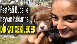 FestPati Buca ile Hayvan Haklarına Dikkat Çekilecek