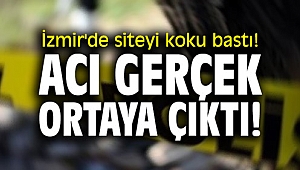 İzmir'de siteyi koku bastı! Acı gerçek ortaya çıktı!