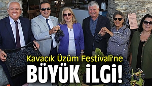Kavacık Üzüm Festivali'ne büyük ilgi!