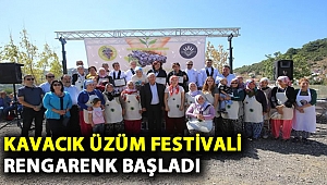 KAVACIK ÜZÜM FESTİVALİ RENKLİ BAŞLADI