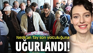 Neslican Tay'a veda