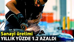 Sanayi üretimi yıllık yüzde 1.2 azaldı