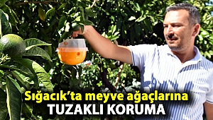 Sığacık’ta meyve ağaçlarına tuzaklı koruma