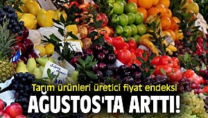Tarım ürünleri üretici fiyat endeksi Ağustos'ta arttı!