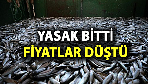 YASAK BİTTİ FİYATLAR DÜŞTÜ