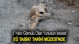 5 yıldır gömülü olan yunusun iskeleti EÜ Tabiat Tarihi Müzesi'nde