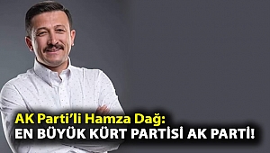 AK Partili'li Hamza Dağ: En büyük Kürt partisi AK Parti!