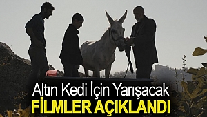 ALTIN KEDİ İÇİN YARIŞACAK FİLMLER AÇIKLANDI