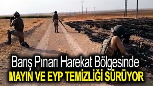 Barış Pınarı Harekat bölgesinde mayın ve EYP temizliği sürüyor